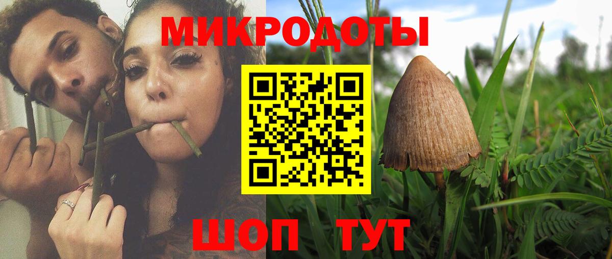 Ленинск-Кузнецкий  Галлюциногенные грибы GOLDEN TEACHER  Вход с VPN 